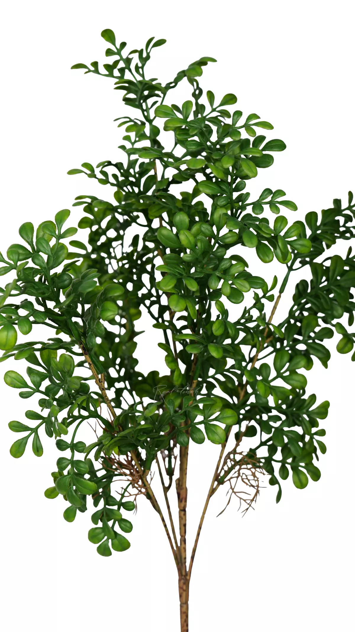 Milanese grass branch - green Milanese grass branch - green