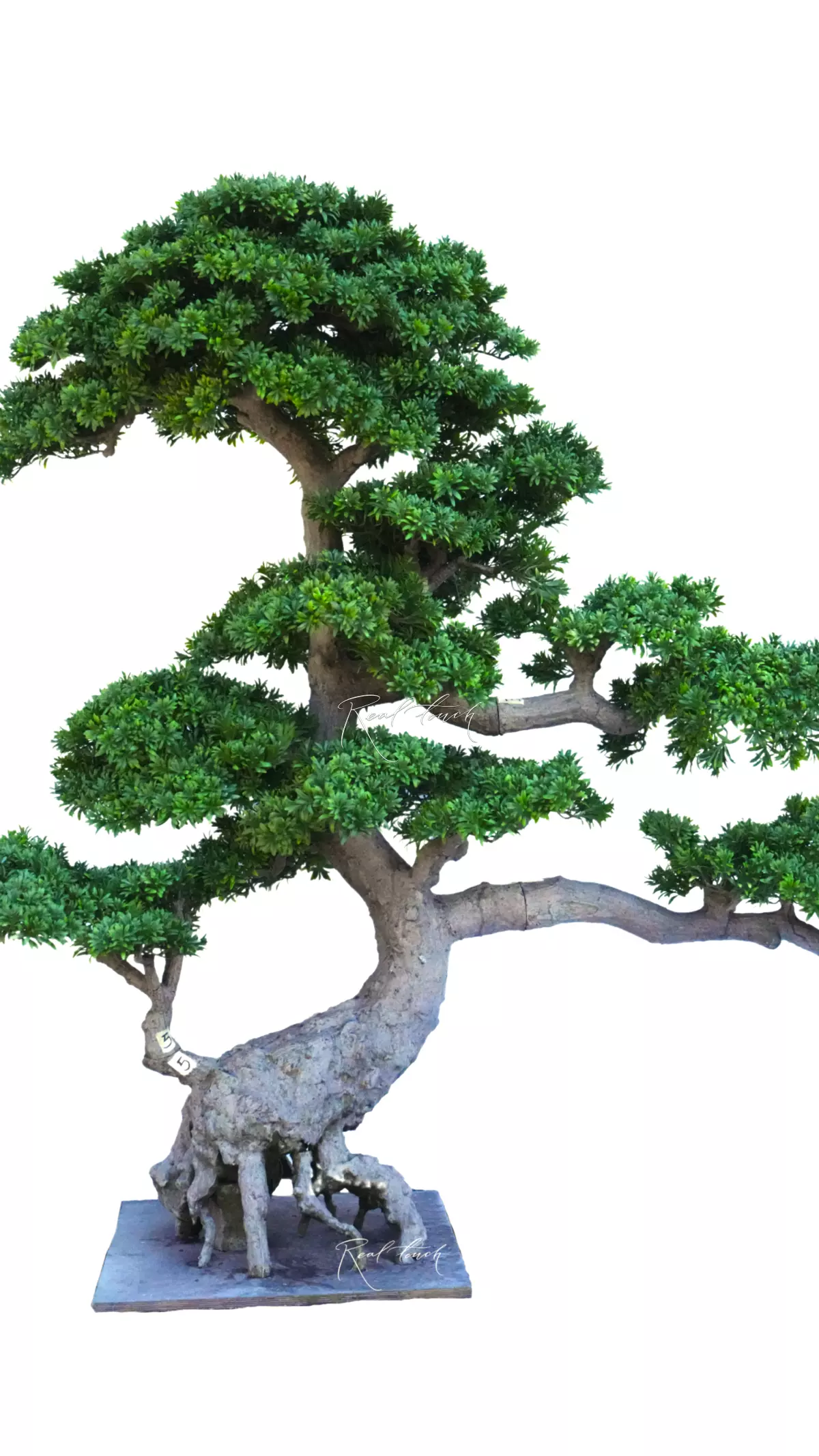 Bonsai tree 240*90*180 - green