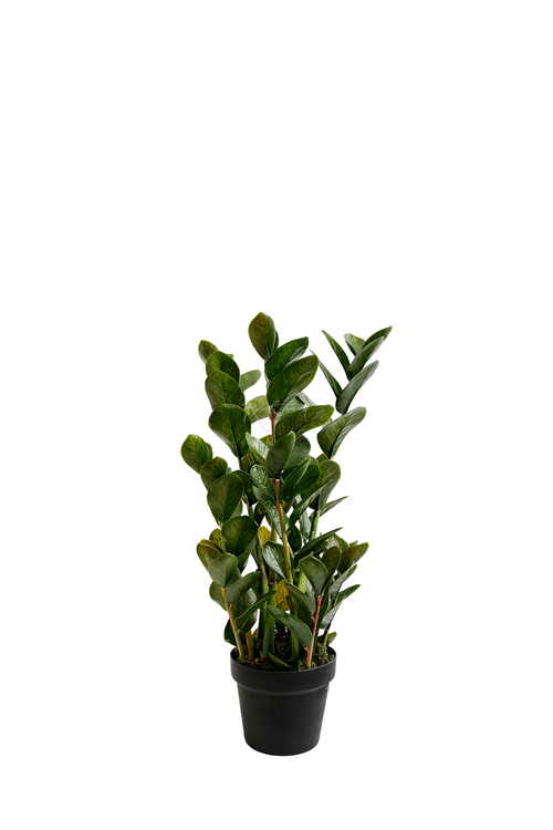 Real Touch Real Touch Flowers Wholesale