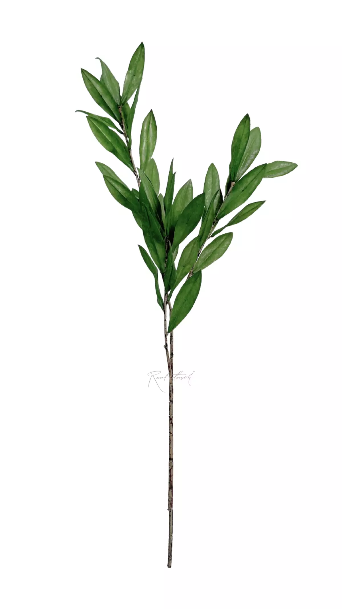 Olive branch 70cm - Dark green