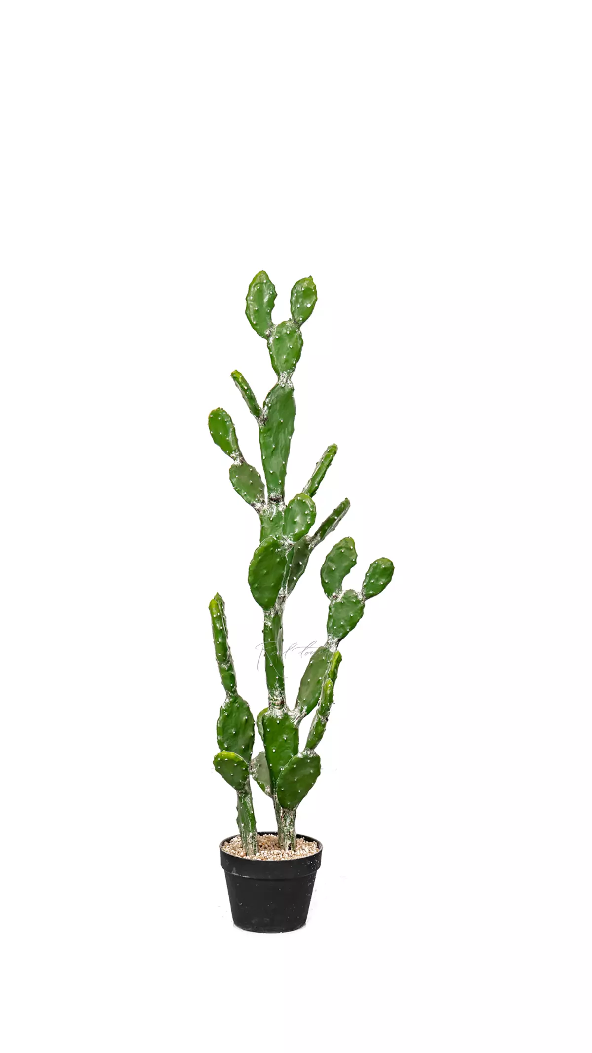 Real Touch Cactus Opuntia tomentosa 112cm - green Real Touch Cactus Opuntia tomentosa 112cm - green