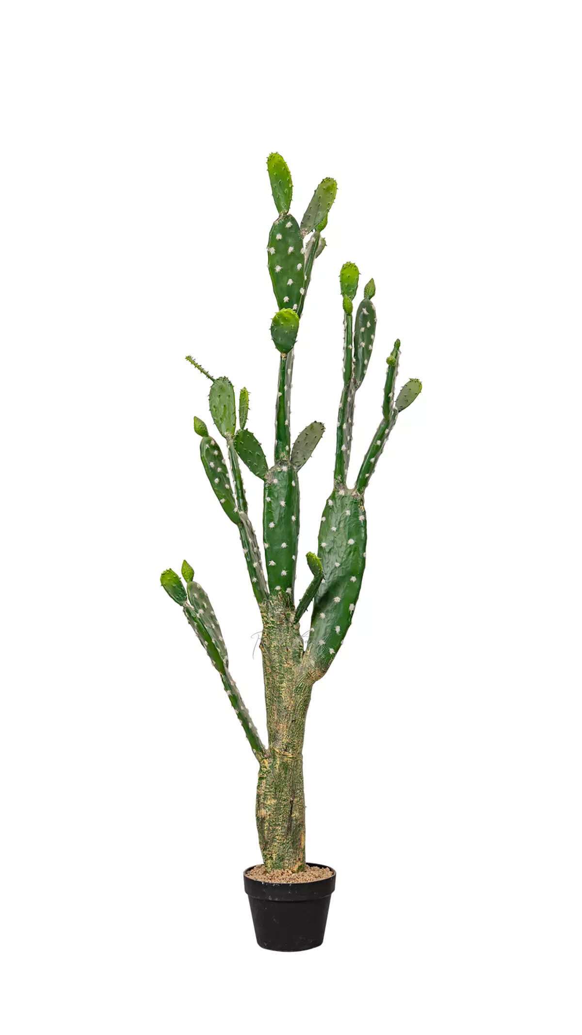 Artificial Cactus Opuntia tomentosa 148cm - green Artificial Cactus Opuntia tomentosa 148cm - green