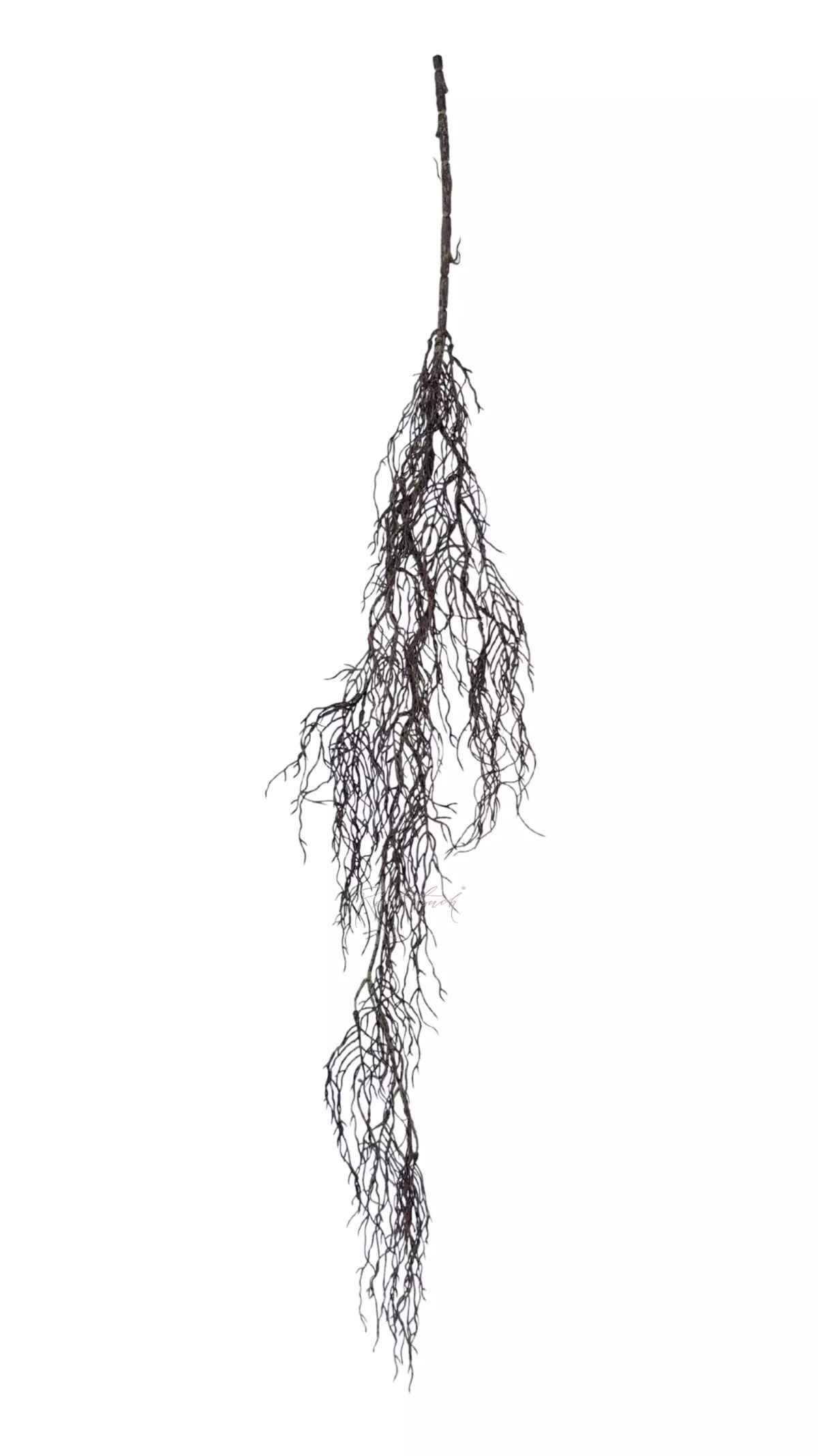 Roots 120 cm - Brown Roots 120 cm - Brown