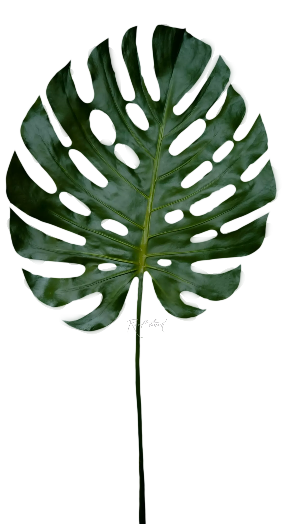 Real Touch Monstera Leaf SPU giant - green Real Touch Monstera Leaf SPU giant - green