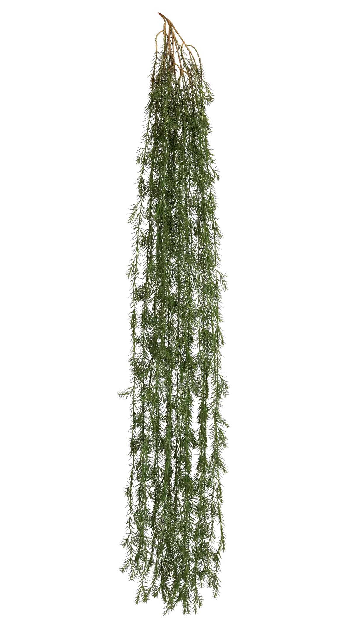 Real Touch Asparagus hanging plant 68.8 inches  - green