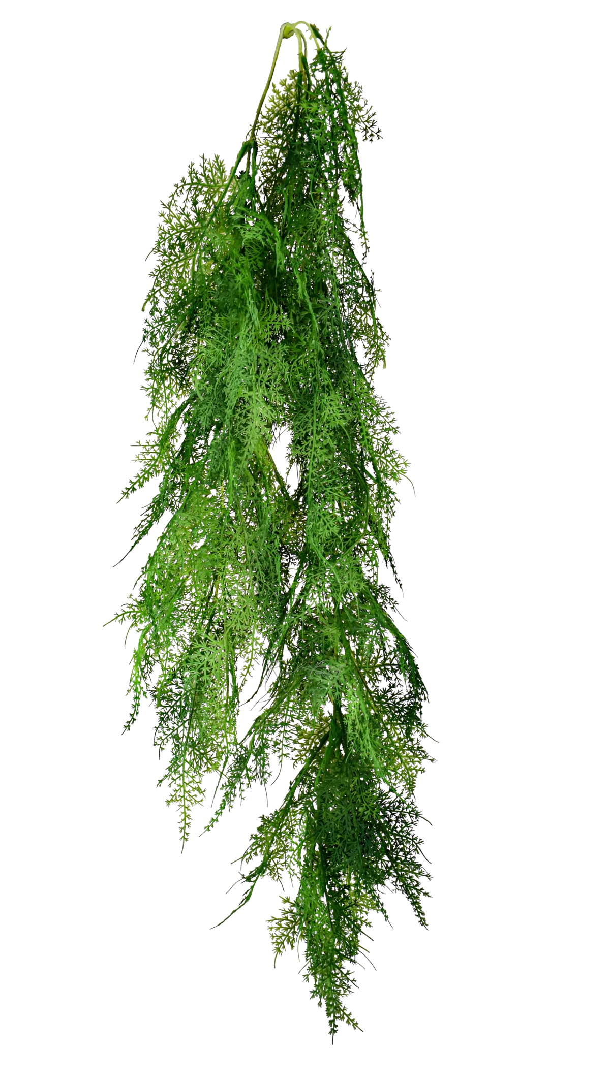 Artificial hanging Asparagus Cirrus new - green
