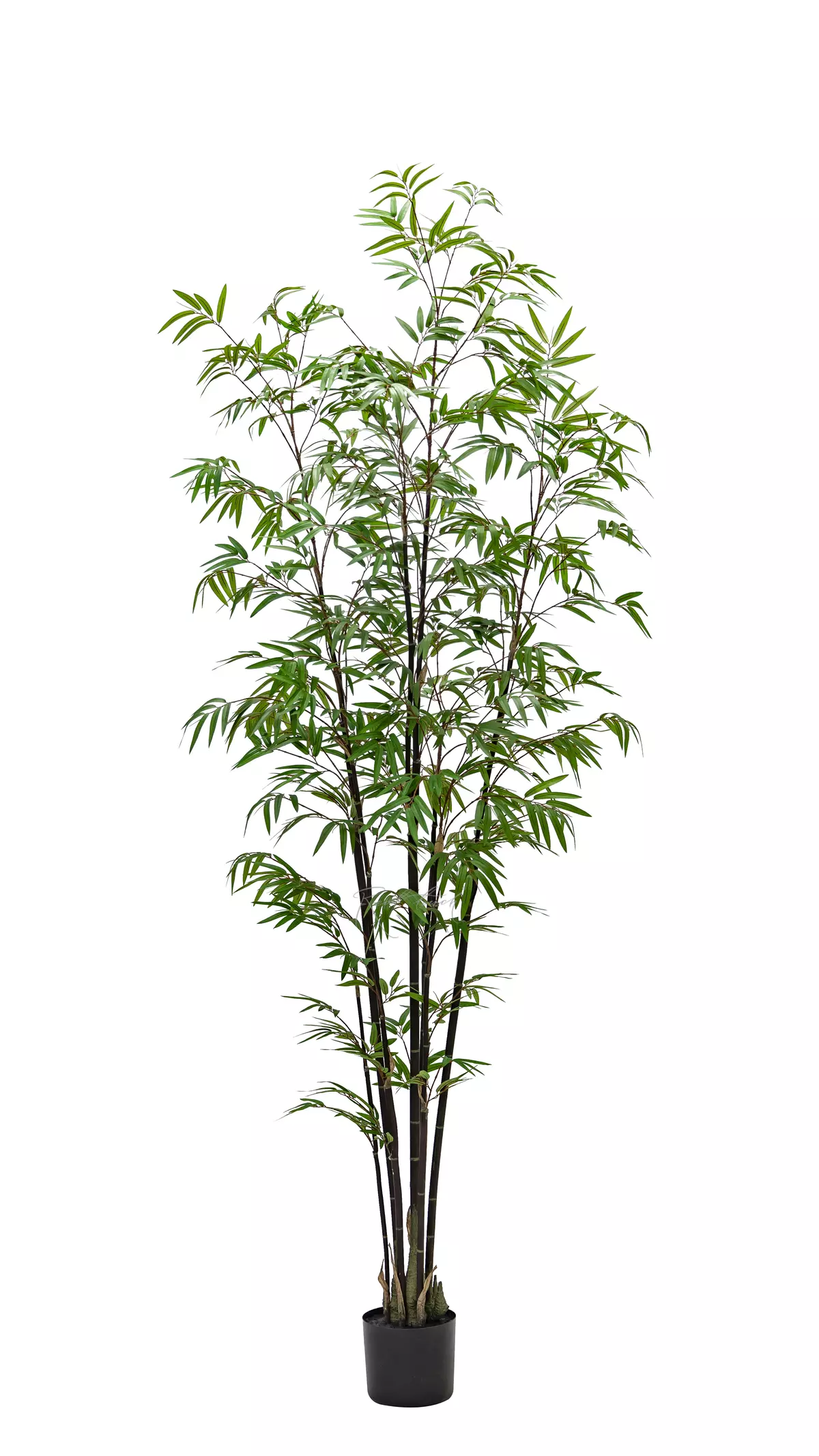 Real Touch Bamboo Bissetii 210cm  - Dark green