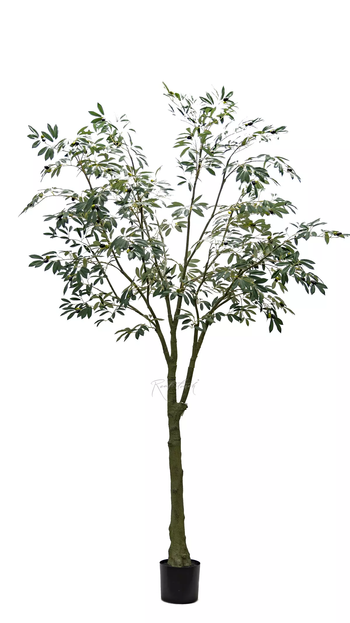 Real Touch Leccino Olive tree 240cm - green Real Touch Leccino Olive tree 240cm - green