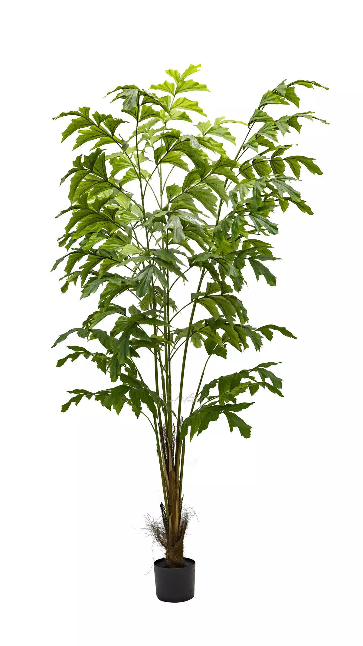 Artificial Caryota Fishtail Palm Tree soft 180cm - green Artificial Caryota Fishtail Palm Tree soft 180cm - green