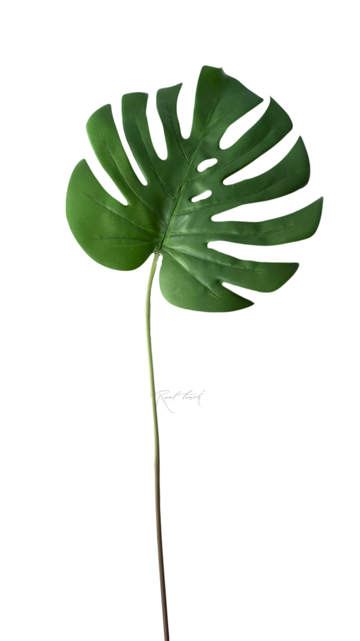 Artificial Monstera Leaf 3D medium  - green