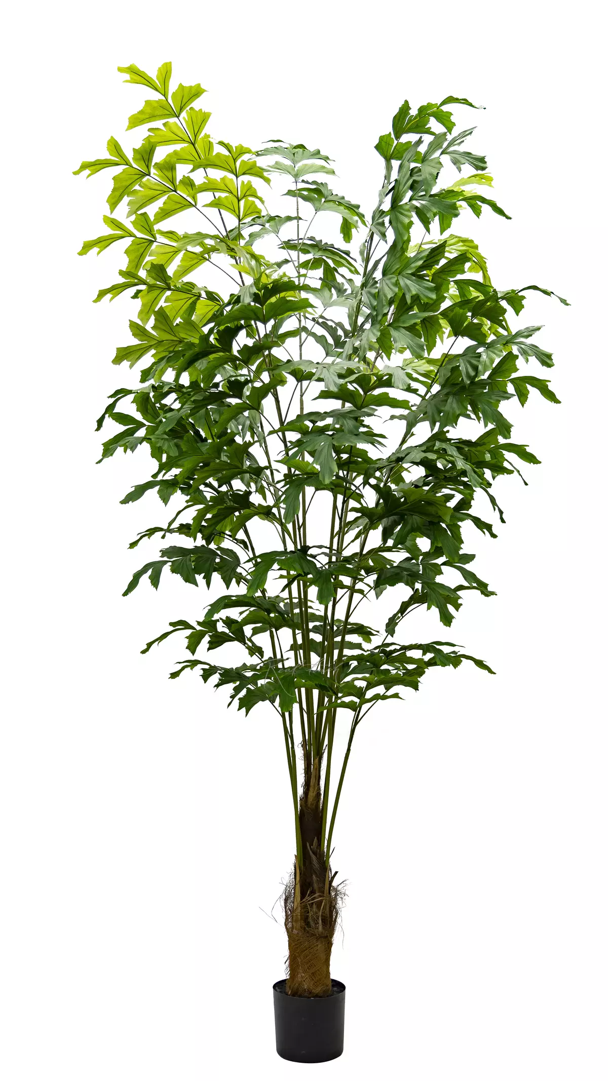 Artificial Caryota Fishtail Palm Tree soft 240cm - green Artificial Caryota Fishtail Palm Tree soft 240cm - green