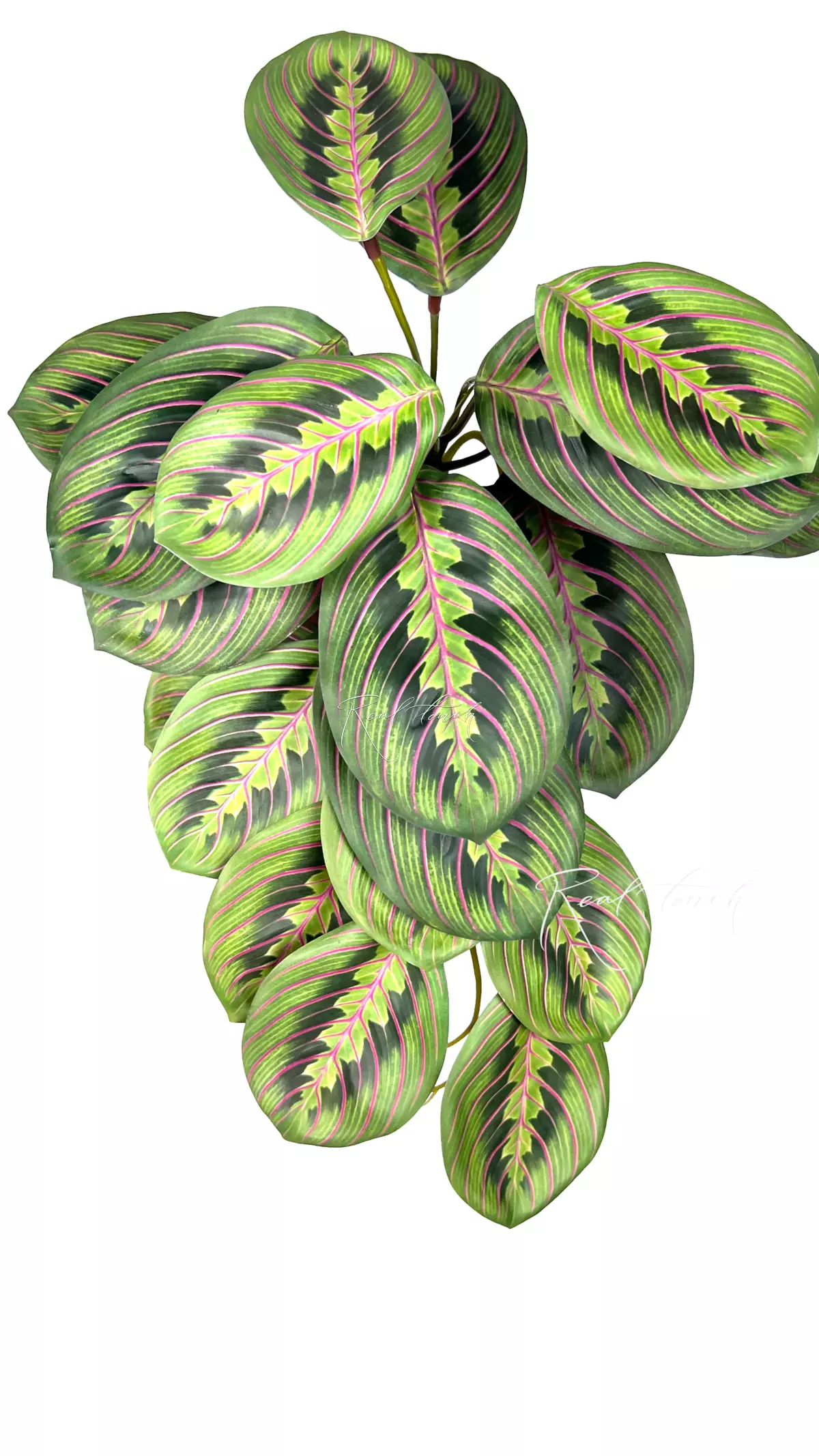 Bush 22 leaves - light green