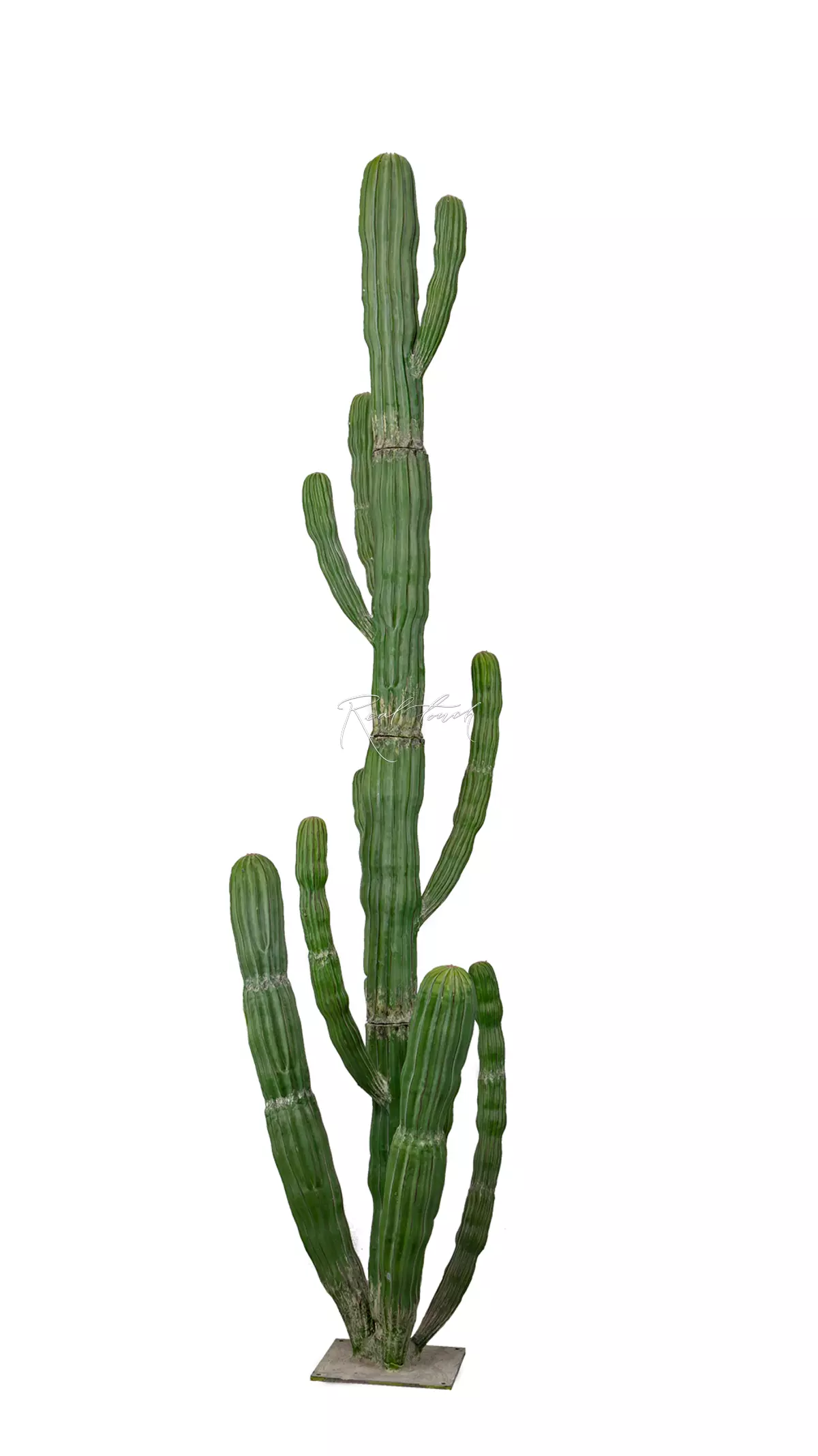 Artificial Giant Desert Cactus 310cm  - green