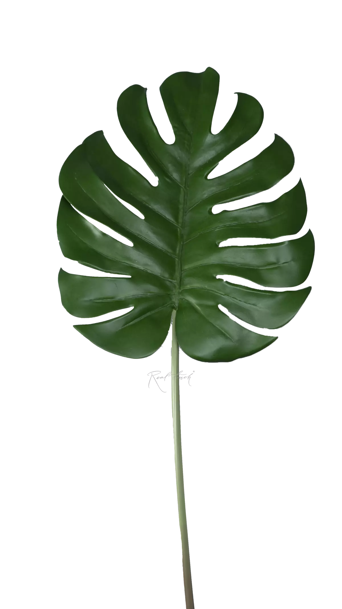 Artificial Monstera Leaf 3D big  - green