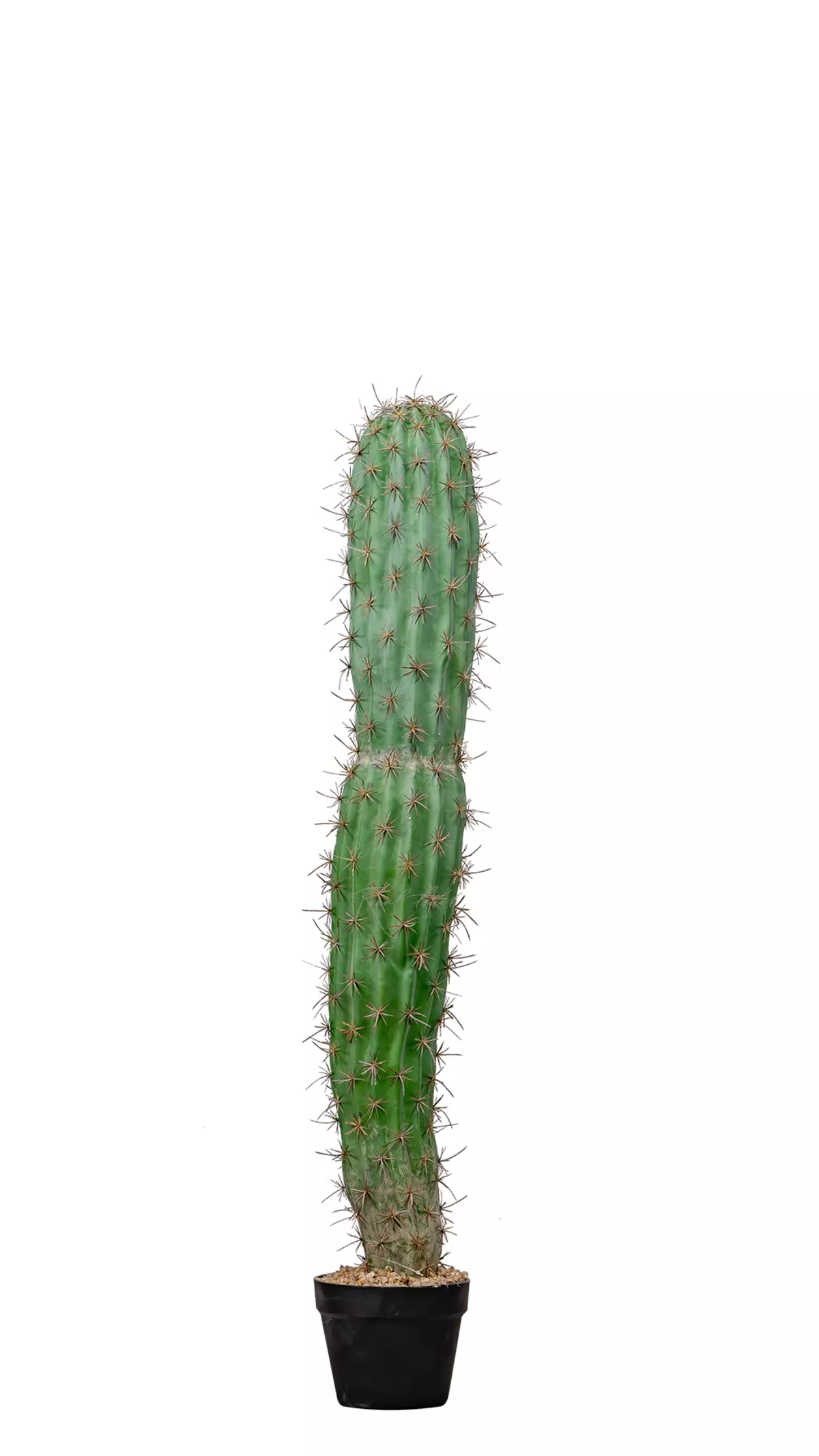 Artificial San Pedro Cactus Trichocereus 113cm  - green