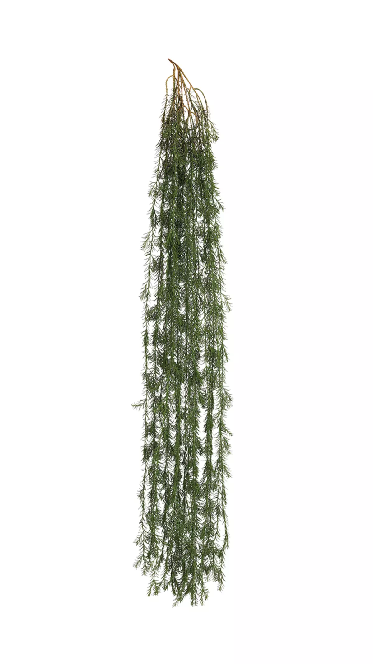 Real Touch Asparagus hanging plant 68.8 inches - green Real Touch Asparagus hanging plant 68.8 inches - green