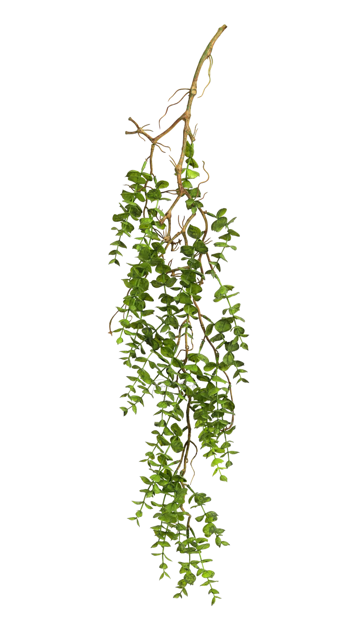 Real Touch Hanging Portulacaria - green Real Touch Hanging Portulacaria - green