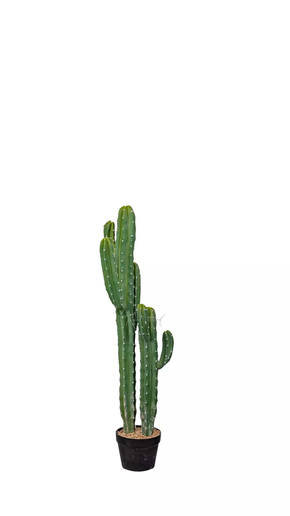 Real Touch Cactus Cereus Jamakaru 101cm  - green
