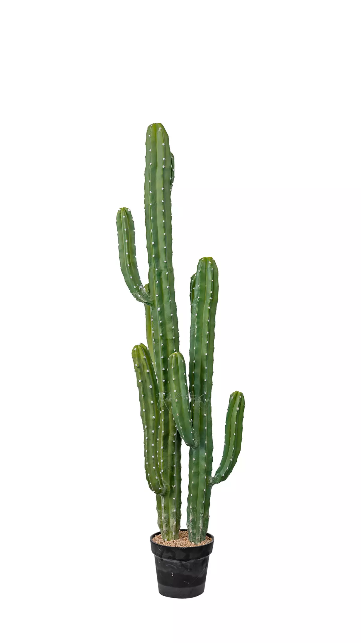 Real Touch Cactus Cereus Jamakaru 143cm  - green