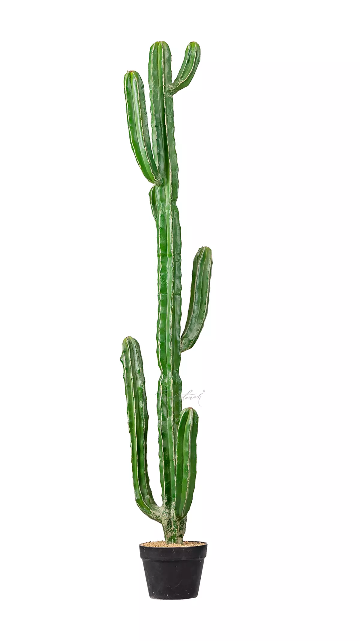 Real Touch Cactus Cereus Jamakaru 147cm - Dark green Real Touch Cactus Cereus Jamakaru 147cm - Dark green