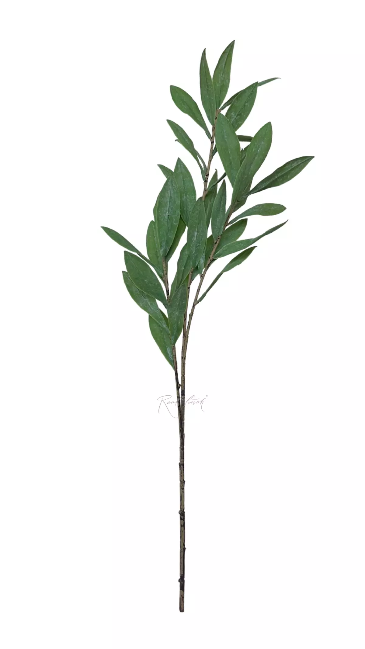 Olive branch 70cm - dusty green