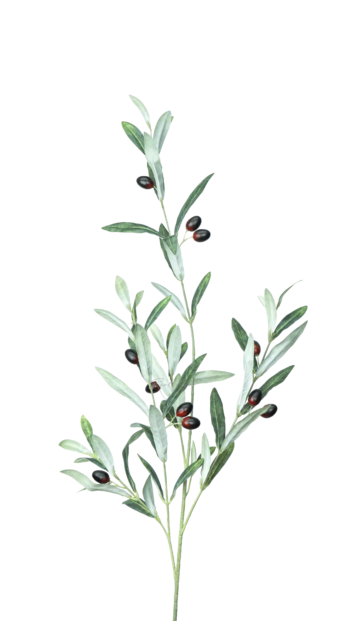 Olive branch with fruits high 112cm - green Olive branch with fruits high 112cm - green