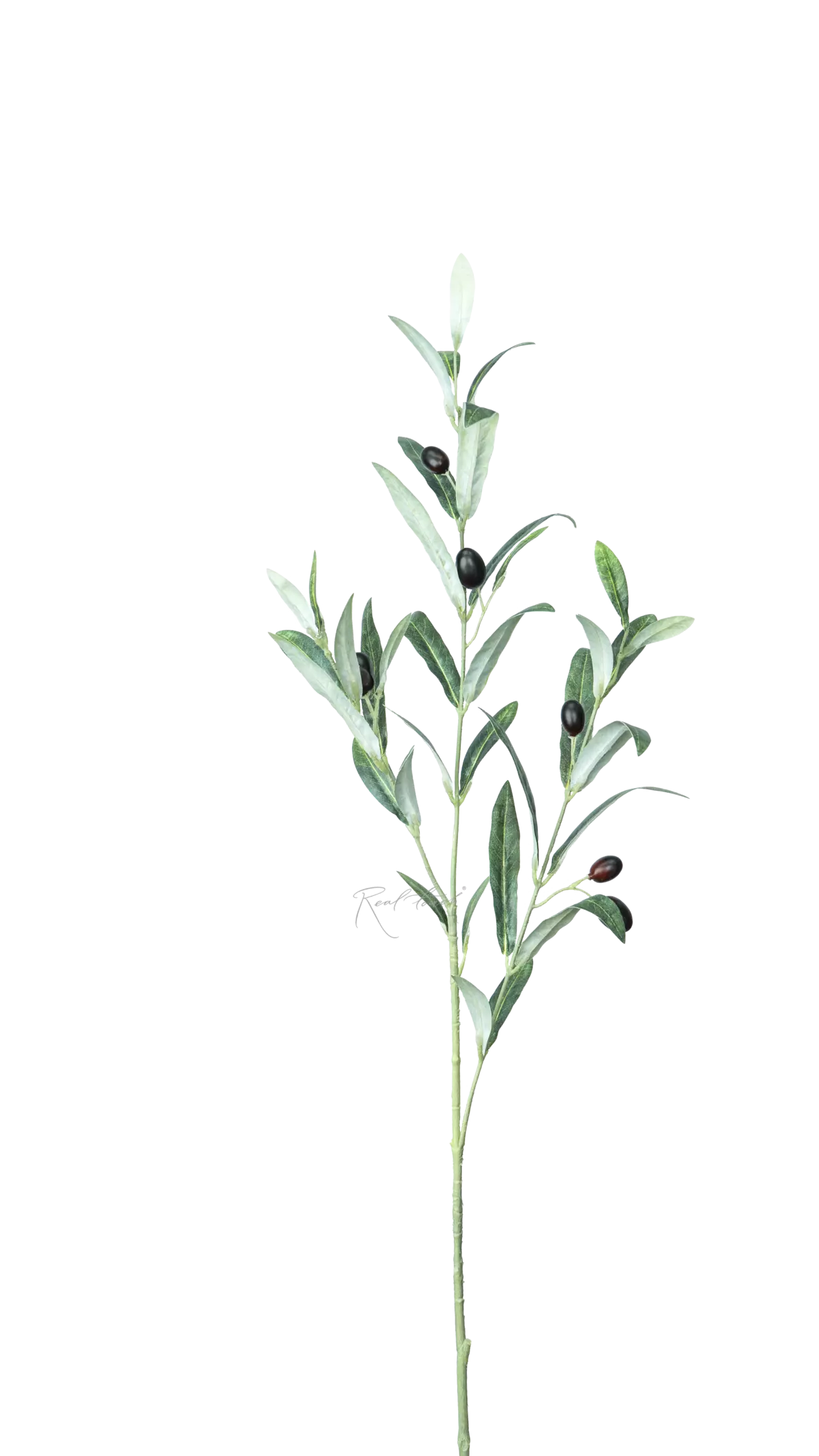 Olive branch with fruits medium 76cm - green Olive branch with fruits medium 76cm - green