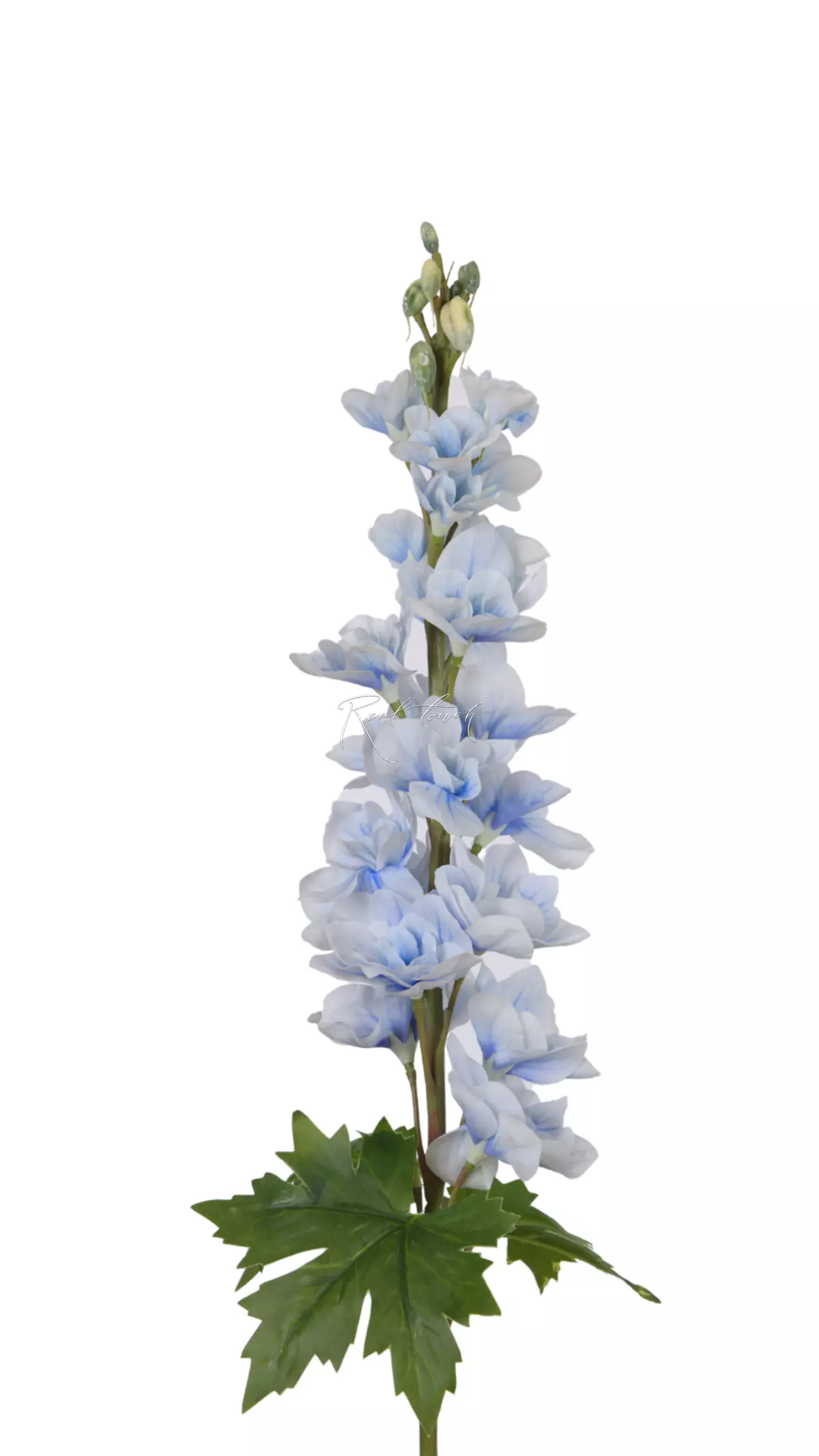 Delphinium small - light blue