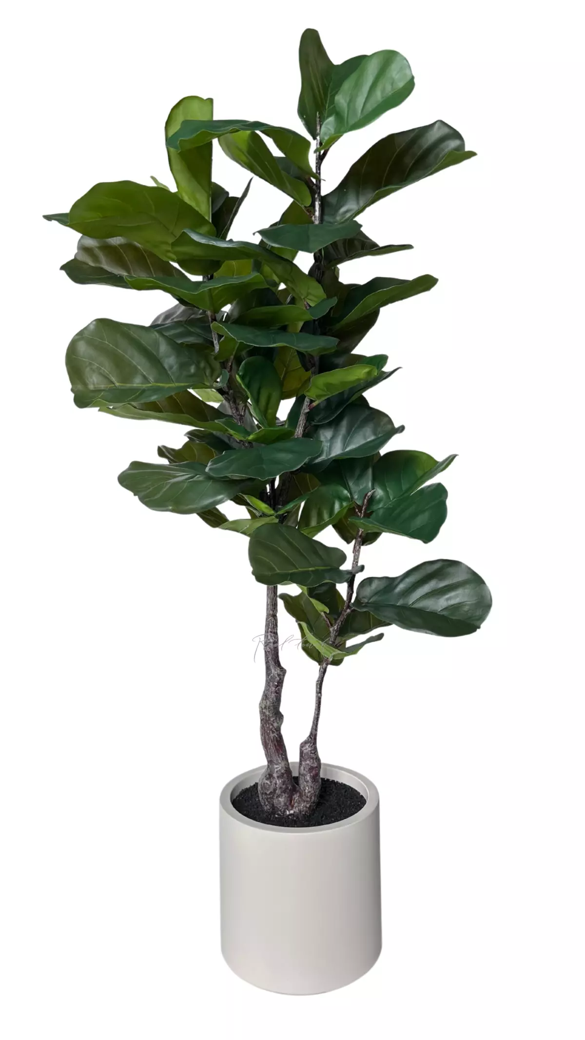 Artificial Ficus Lirata in a decorative pot 145cm - green Artificial Ficus Lirata in a decorative pot 145cm - green