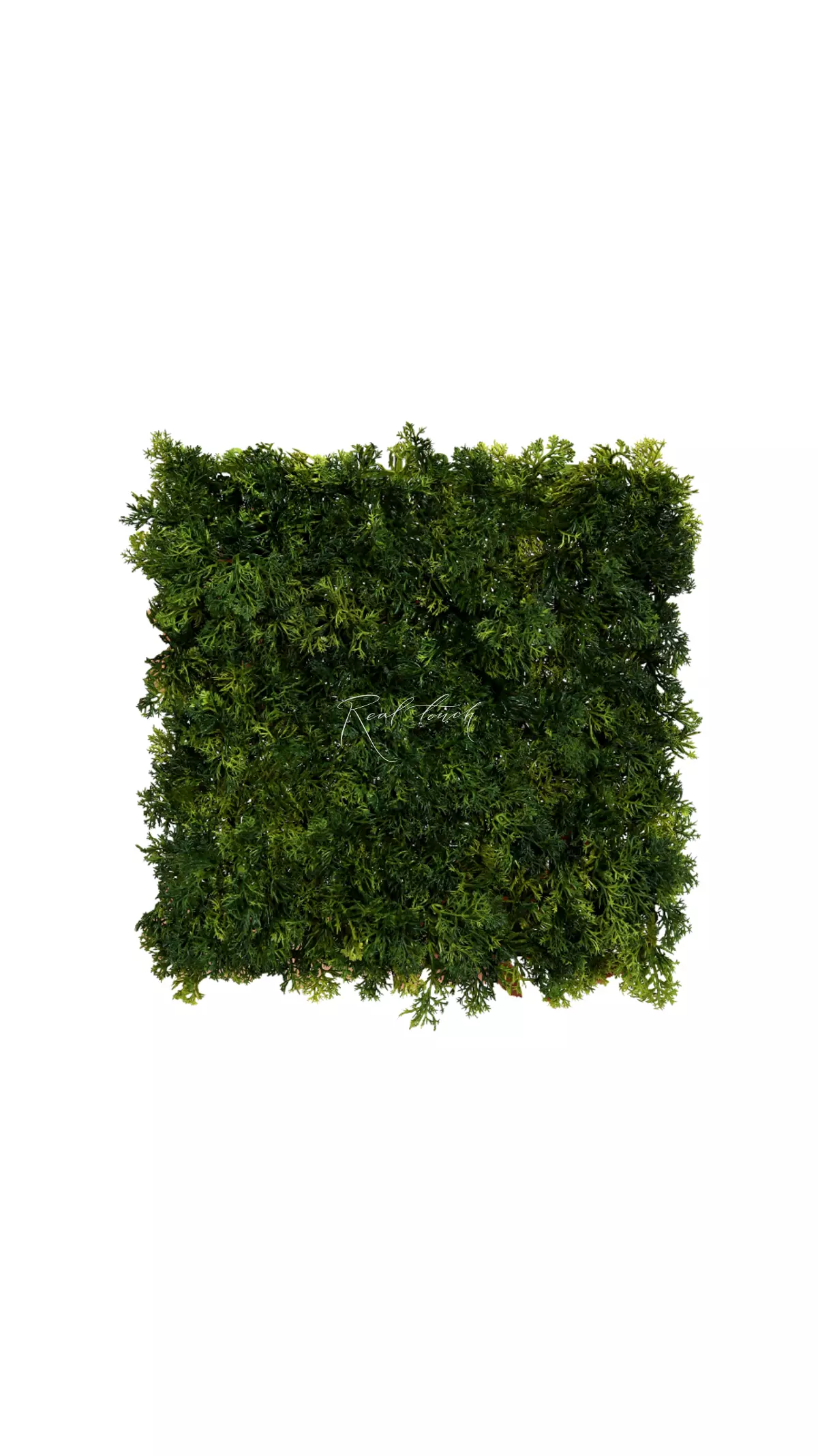 Reindeer Moss Yagel panel 24,5 * 24,5cm - Dark green