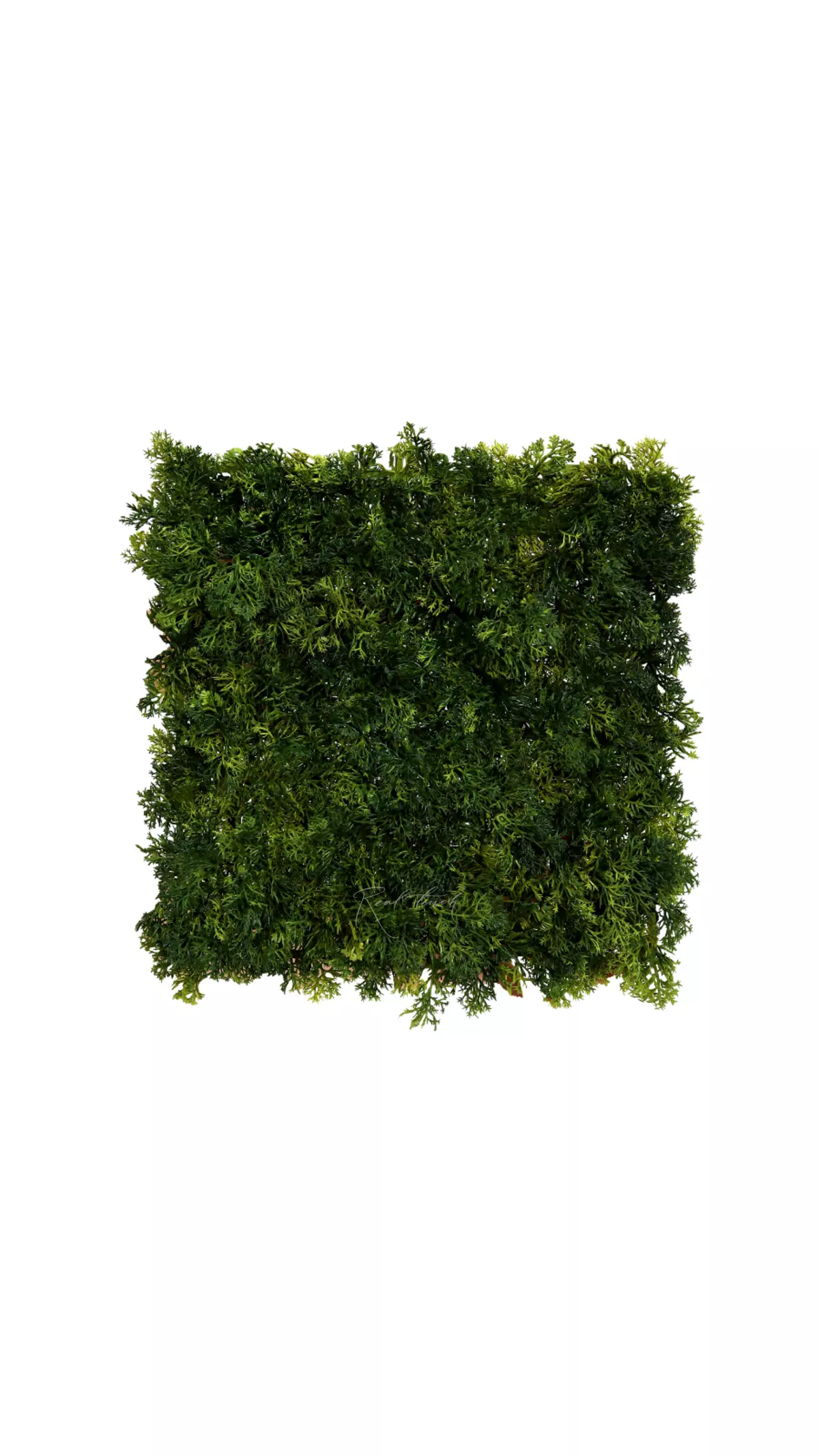 Reindeer Moss Yagel panel 24,5 * 24,5cm - Dark green