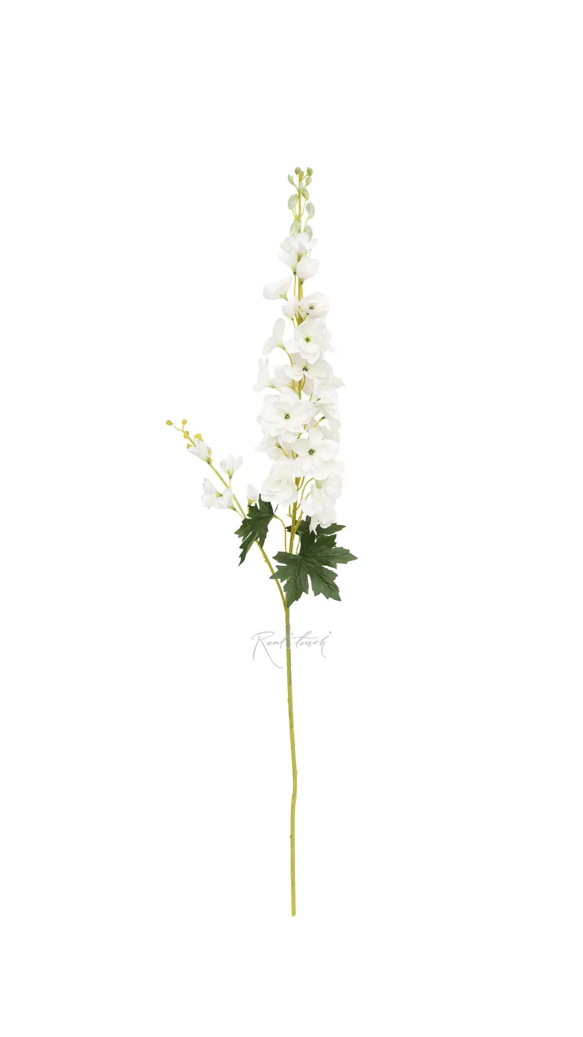 Delphinium with 2 Sprays - white