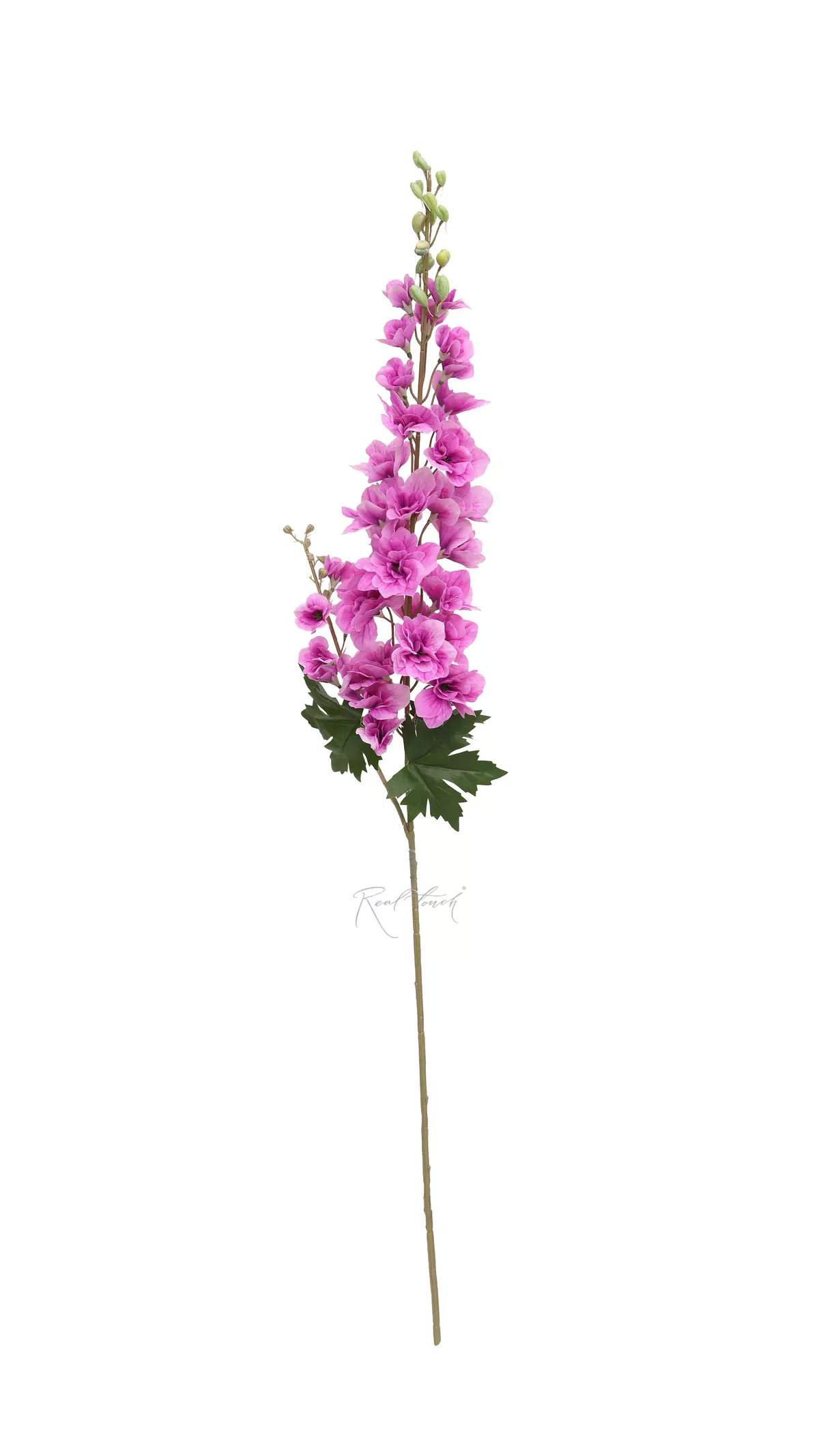 Delphinium with 2 Sprays - fuchsia