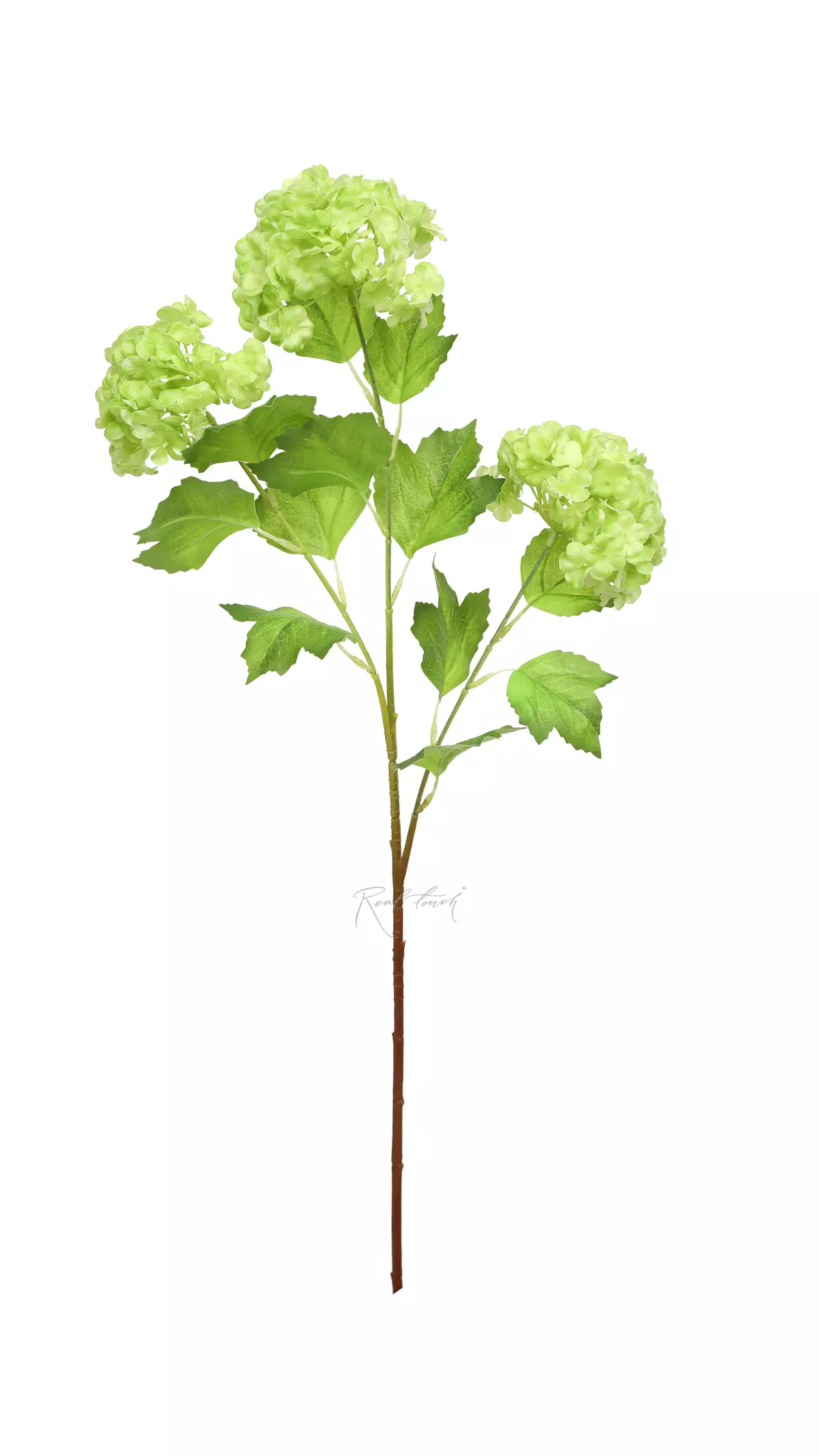 Real Touch Snowball Bush Viburnum - light green