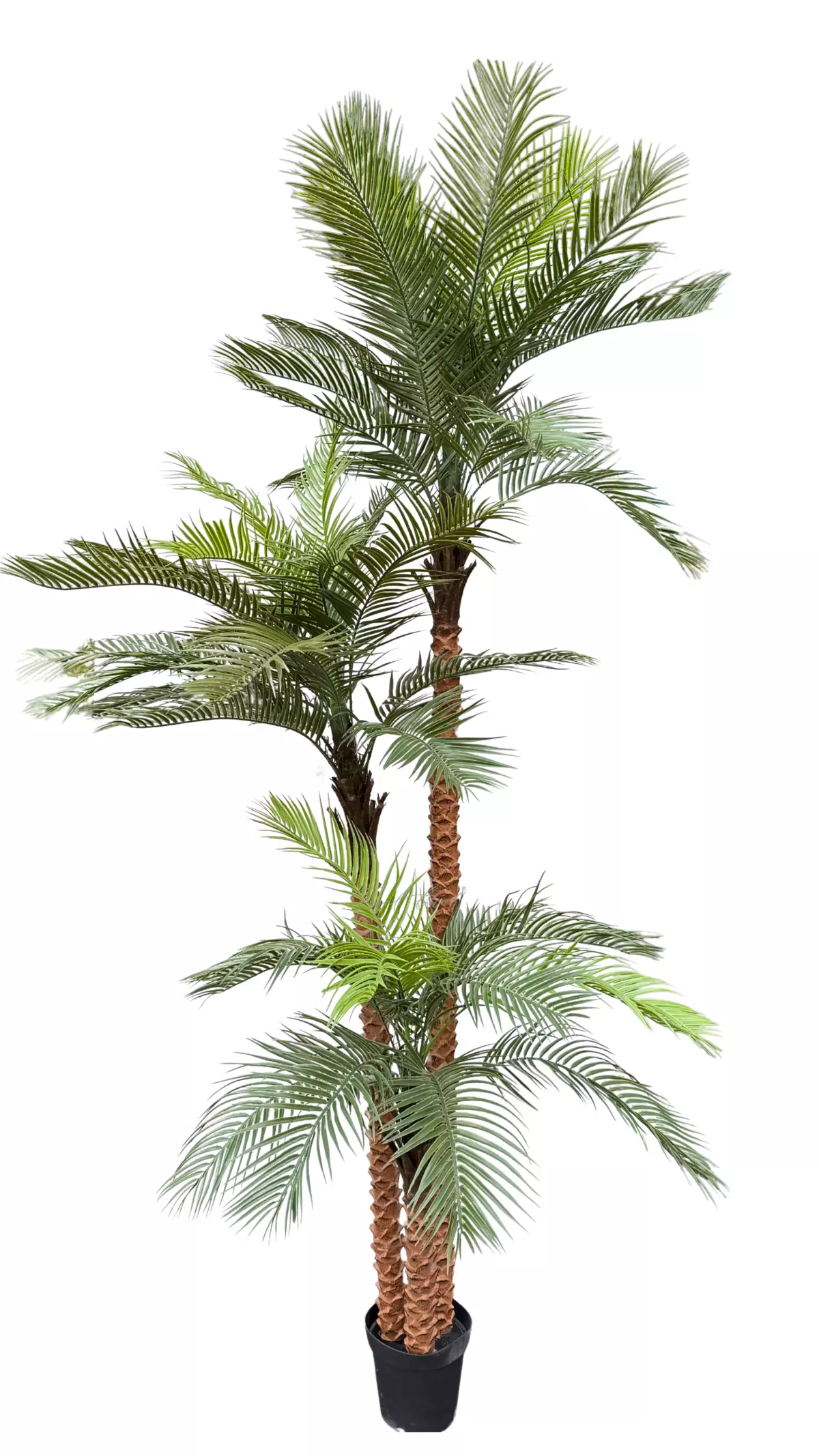 Coconut palm 300cm - green Coconut palm 300cm - green