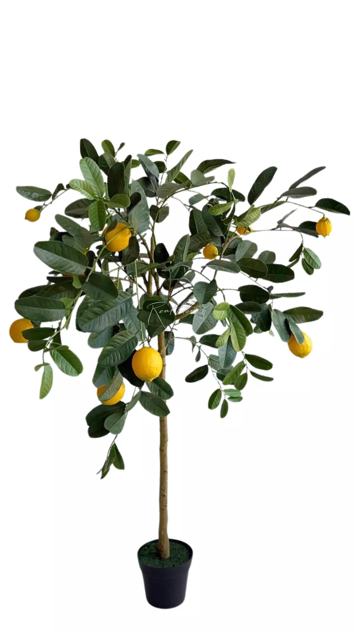 Lemon tree 148cm with UV protection - green