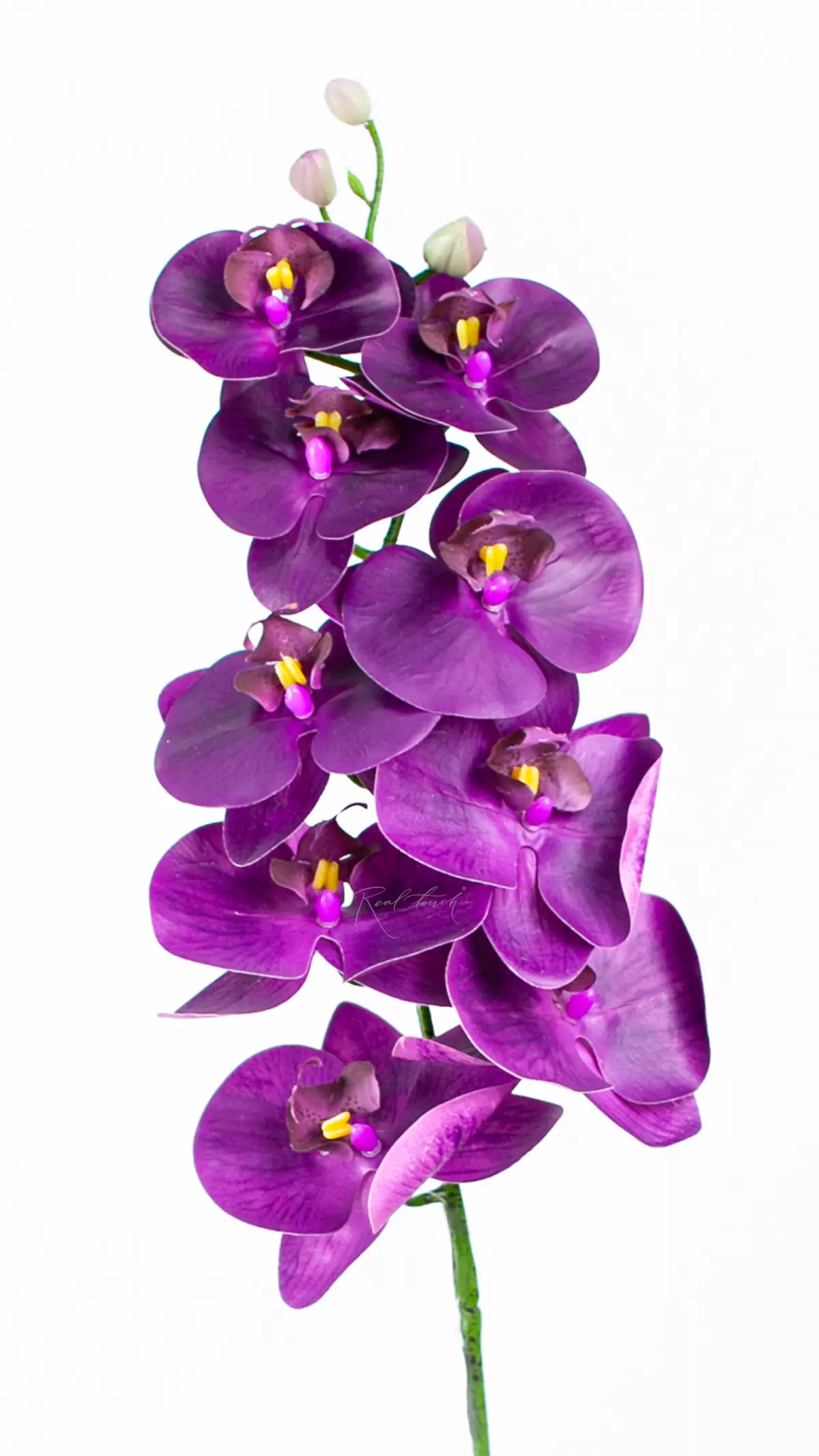 Real Touch Phalaenopsis Orchid (9 blooms) - dark purple