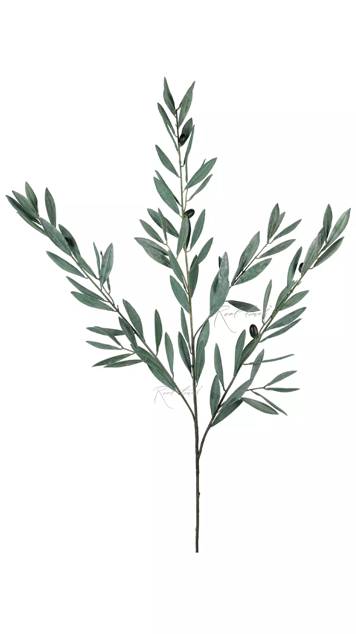 Olive branch 126cm - green Olive branch 126cm - green