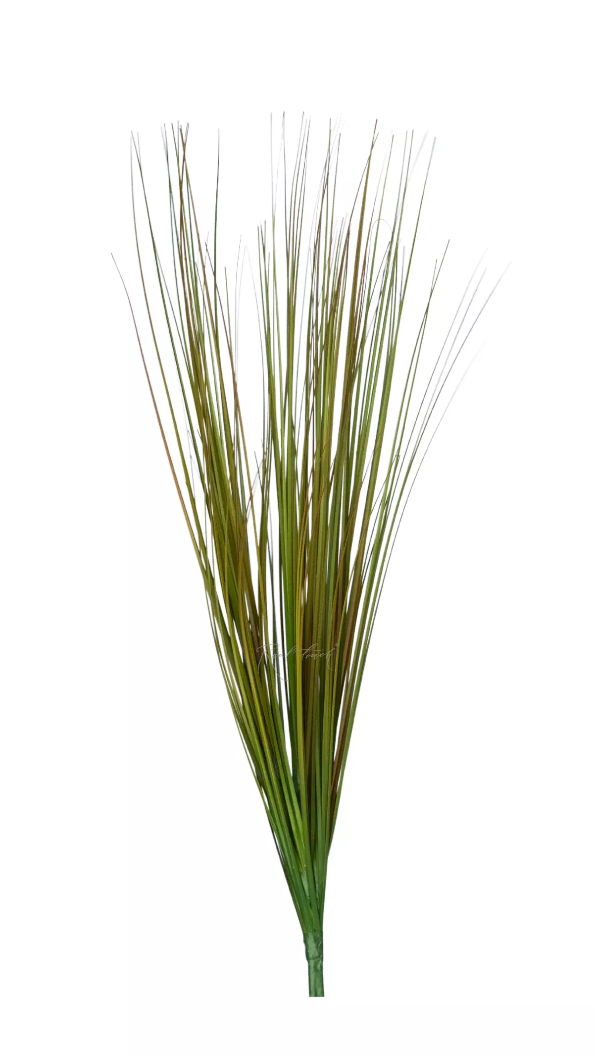 Bunch of fine grass 68cm - Green brown