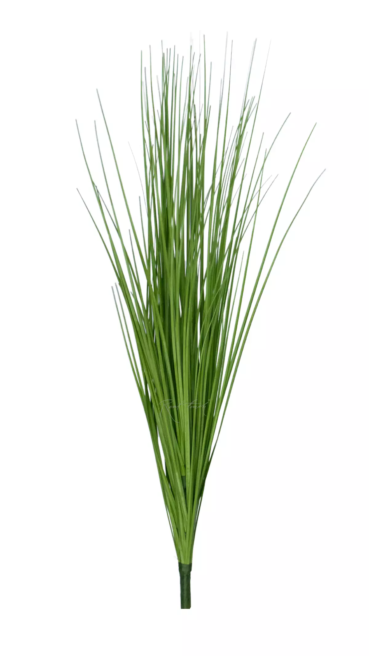 Bunch of fine grass 68cm - green