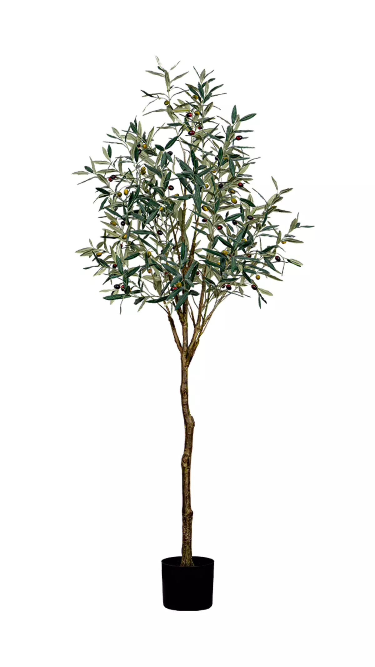 Artificial Olive Tree, Slim Shape, 180 cm, in pot - green Artificial Olive Tree, Slim Shape, 180 cm, in pot - green