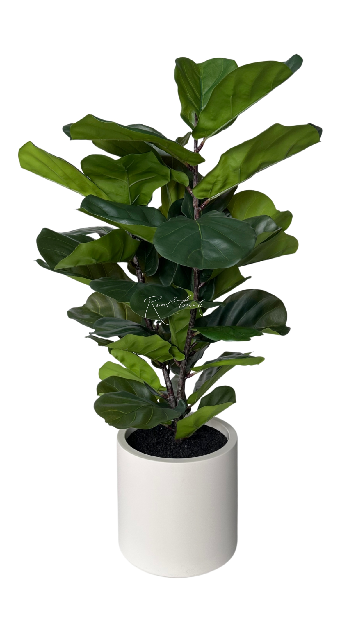 Artificial Ficus Lirata in a decorative pot 100cm - green