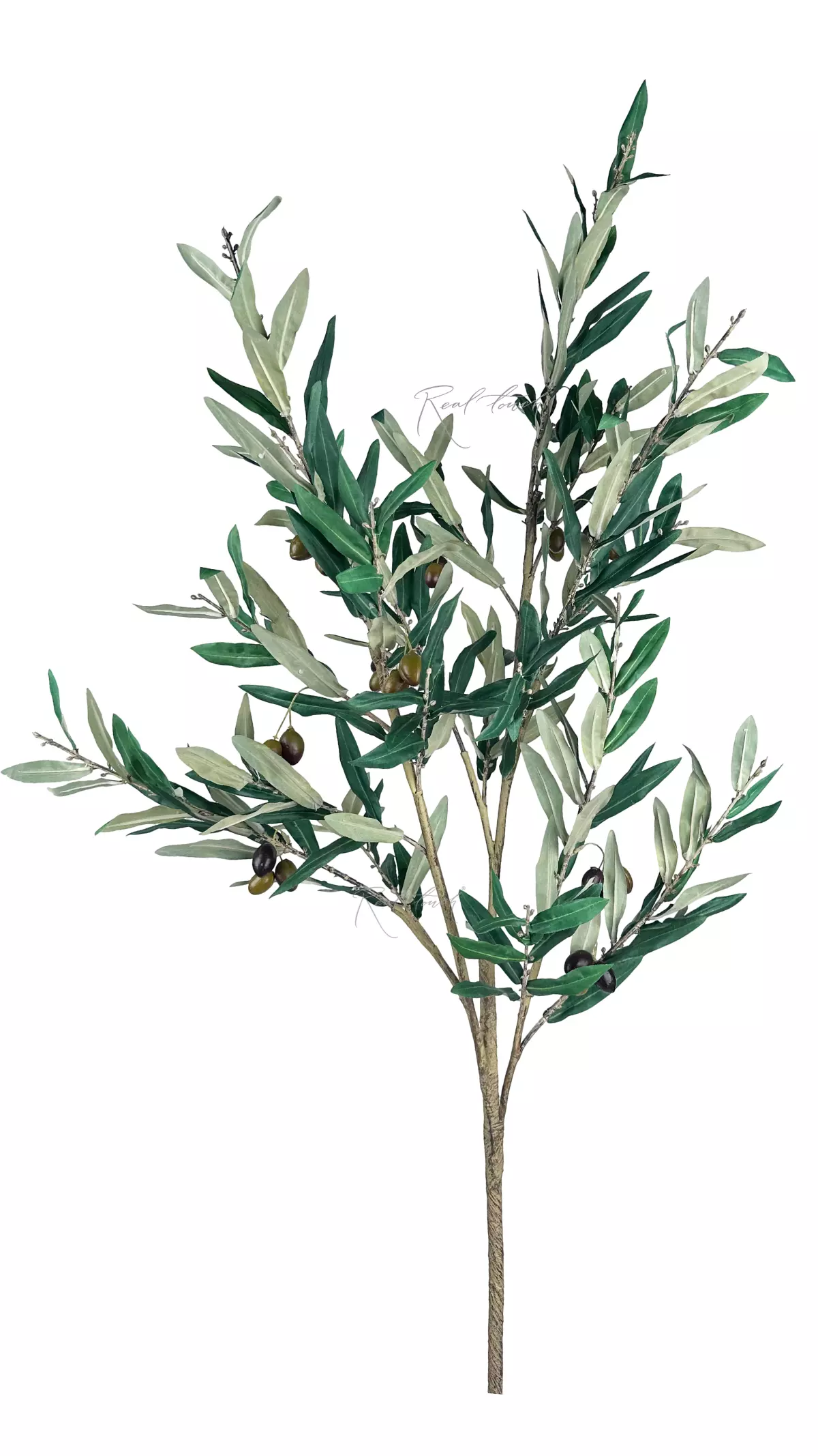 Olive branch with fruits 140cm with UV protection - green Olive branch with fruits 140cm with UV protection - green