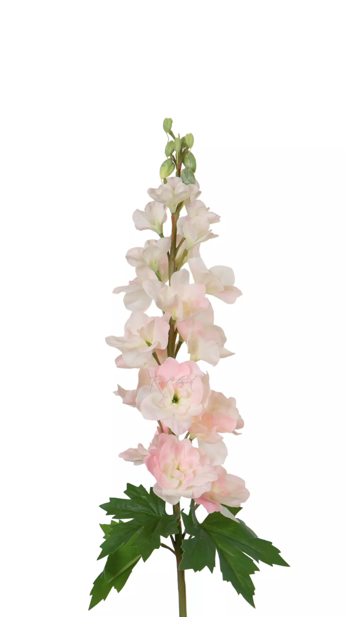 Delphinium small - light pink