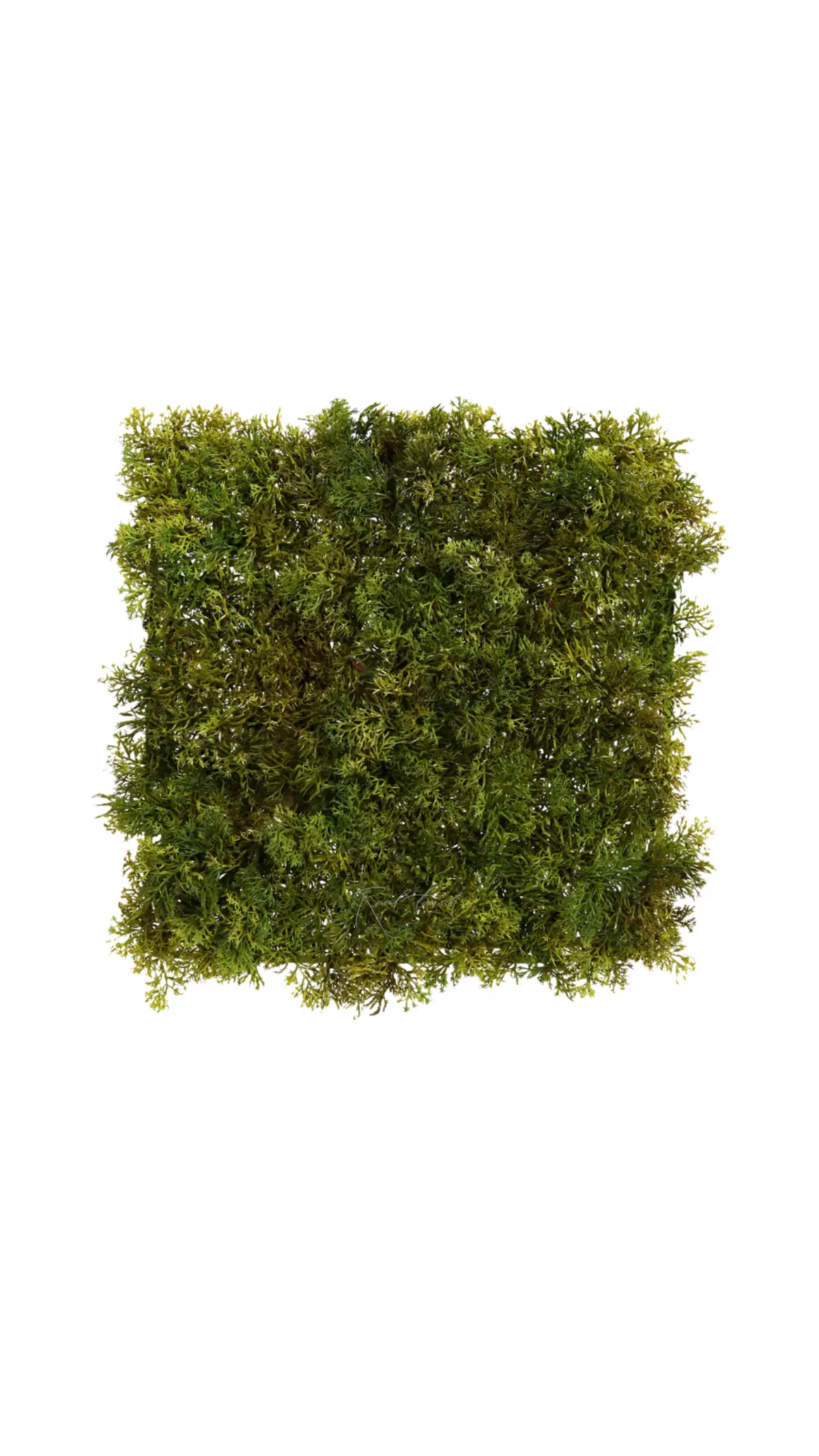 Reindeer Moss Yagel panel 24,5 * 24,5cm - green