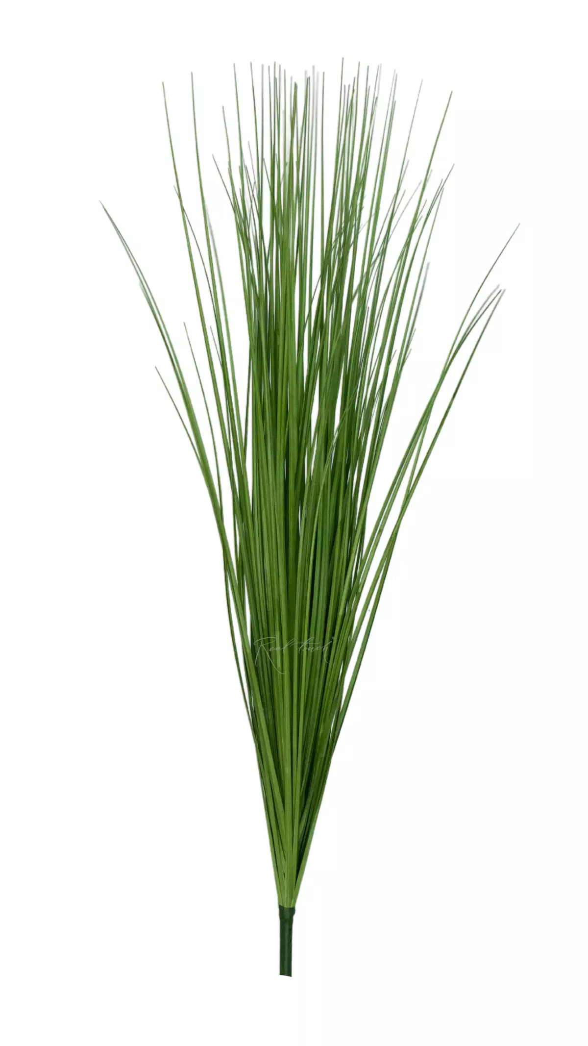 Bunch of fine grass 90cm - green