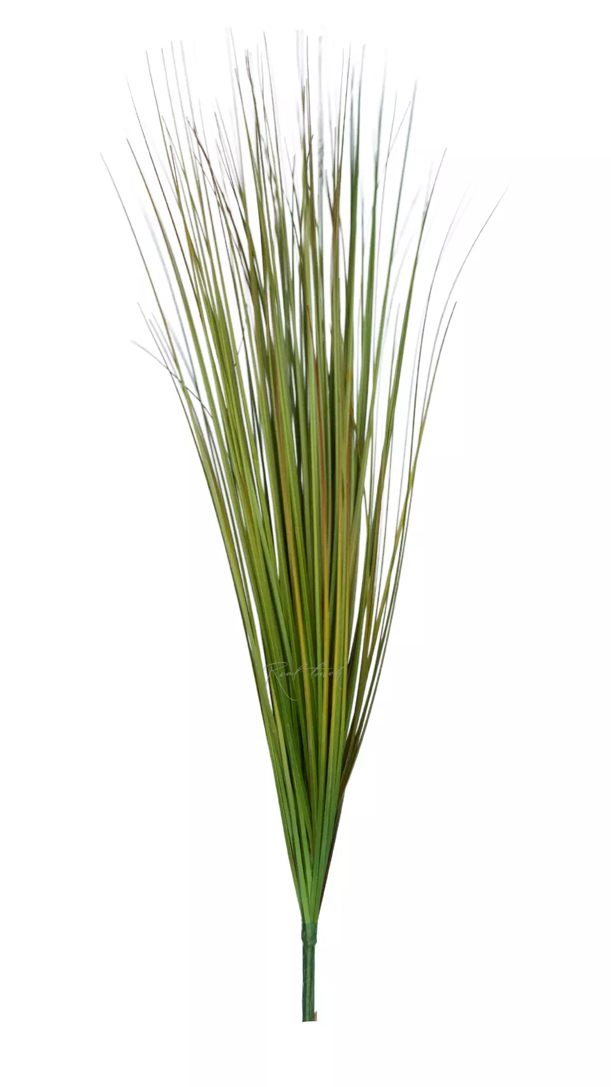Bunch of fine grass 90cm - Green brown