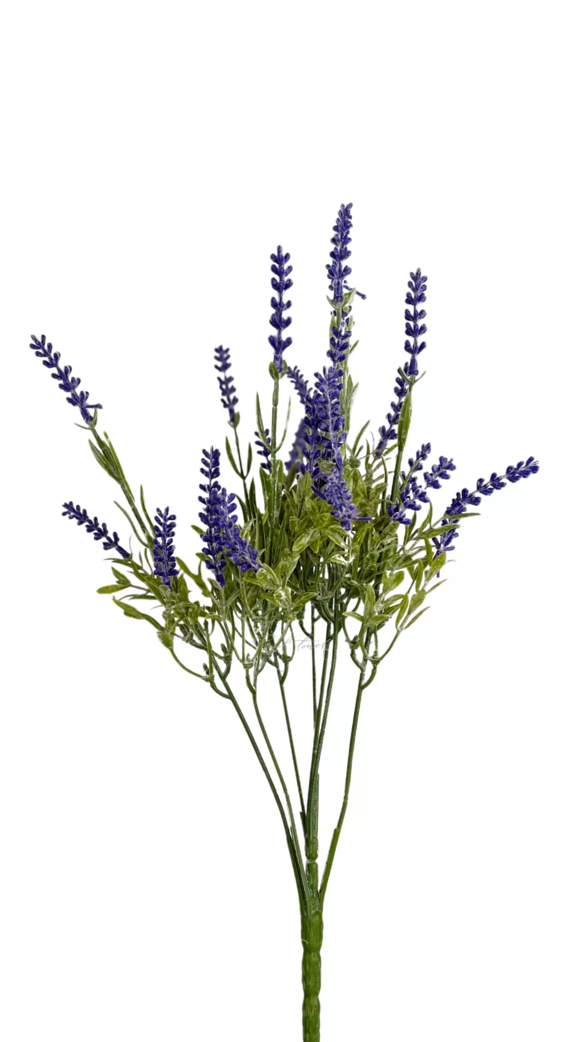 Real Touch Lavender - lilac