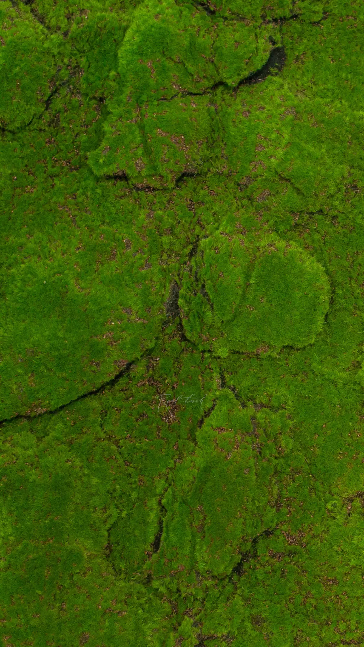 Mat with lumps of moss on felt (dark base) 1*2m - green Mat with lumps of moss on felt (dark base) 1*2m - green