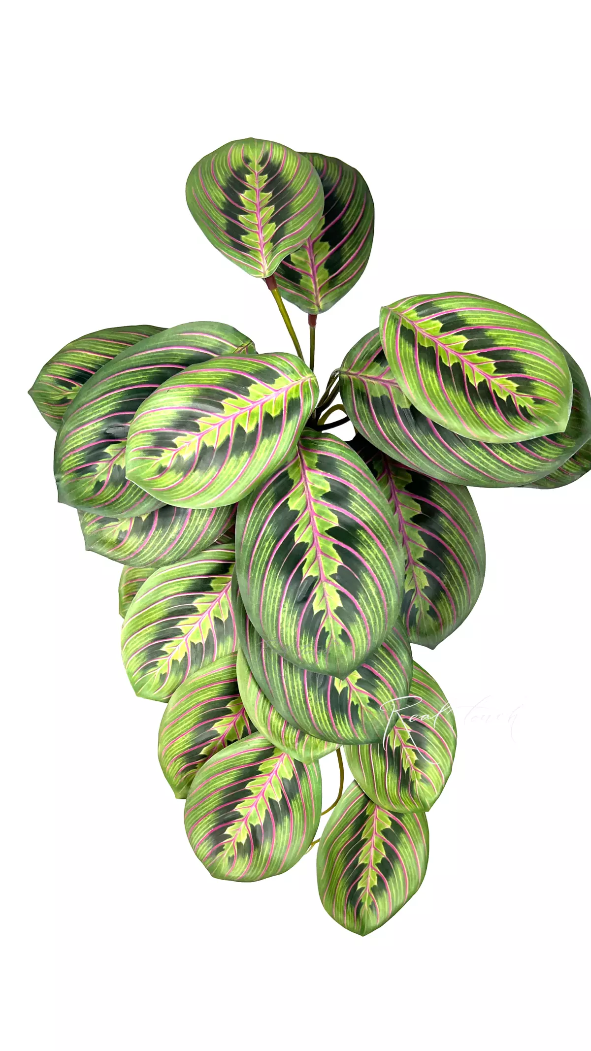 Bush 22 leaves - light green Bush 22 leaves - light green